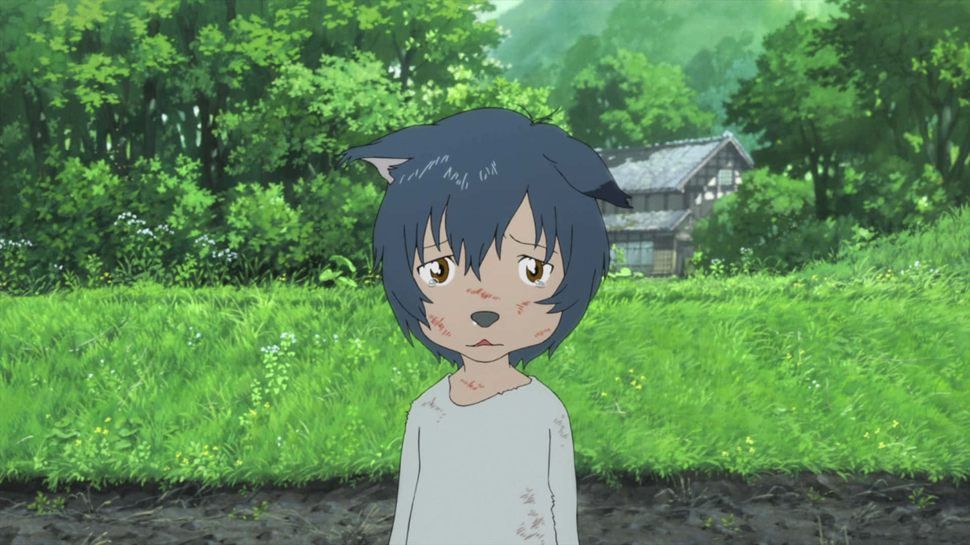 A Young Wolf Pup And Its Family, From The Movie Wolf Children Wallpaper