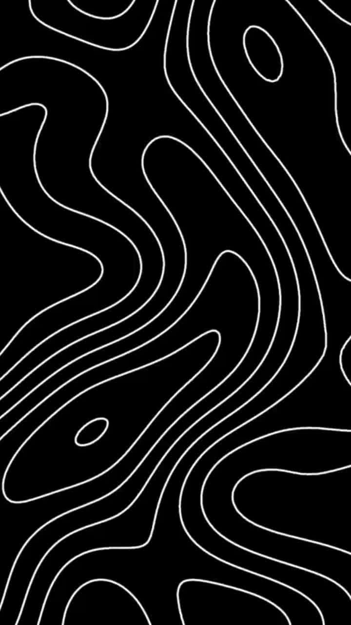 Abstract Blackand White Topographic Lines Wallpaper