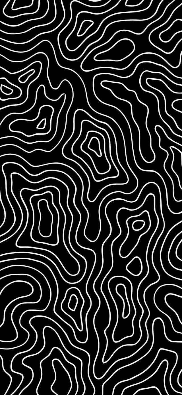 Abstract Blackand White Topographic Lines Wallpaper