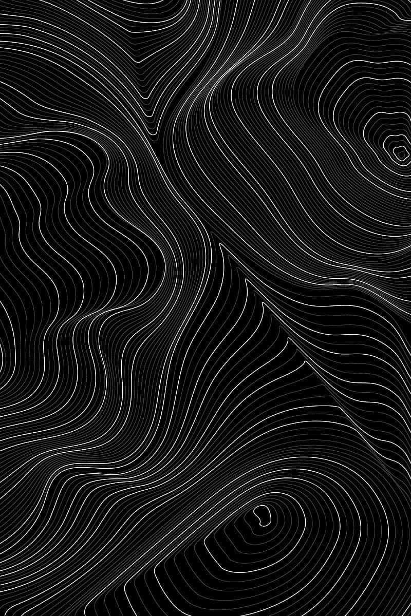 Abstract Blackand White Topography Wallpaper