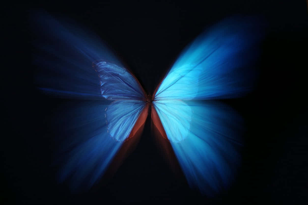 Abstract Blue Butterfly Effect Wallpaper