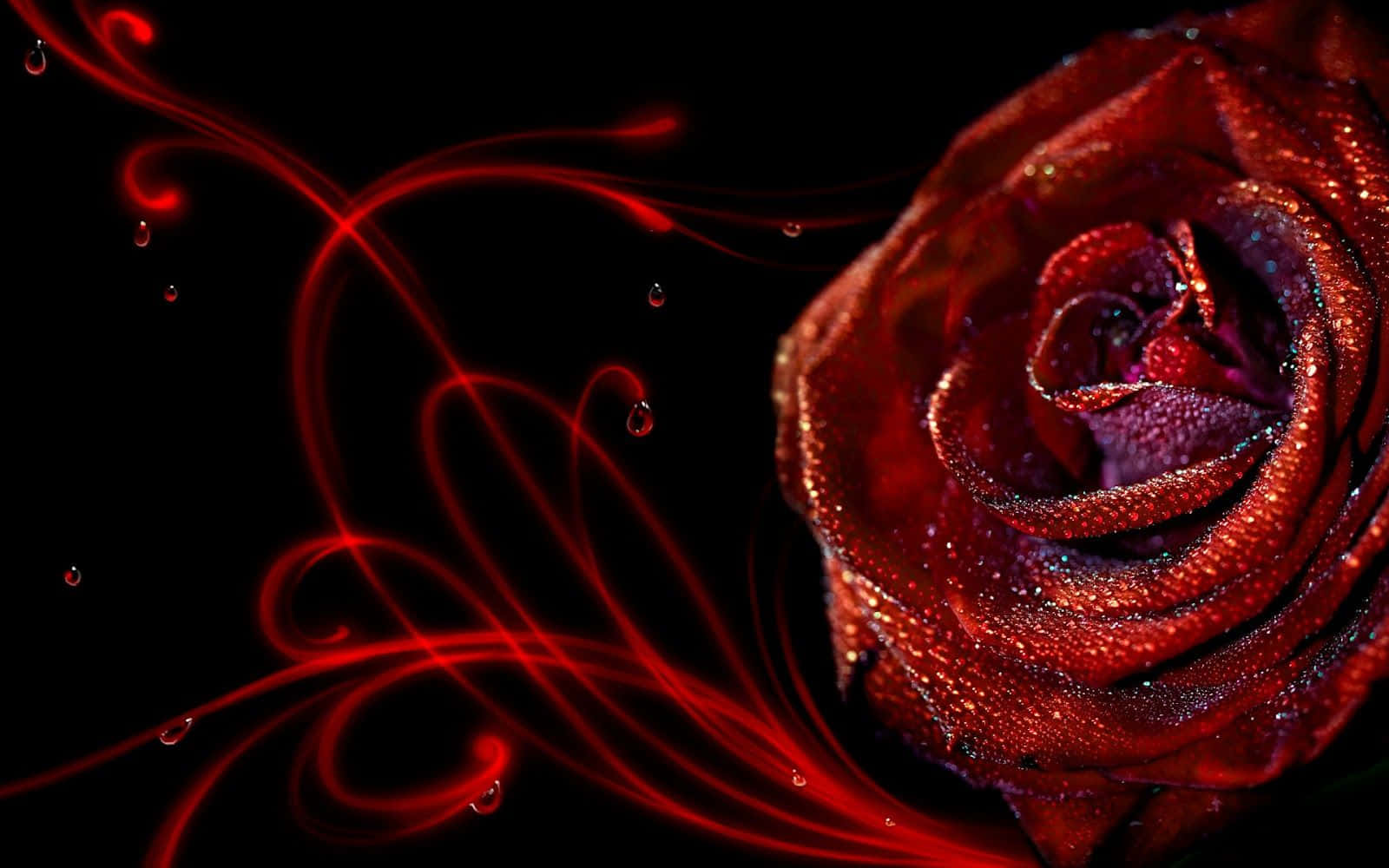 Abstract Rose Blossoming Wallpaper