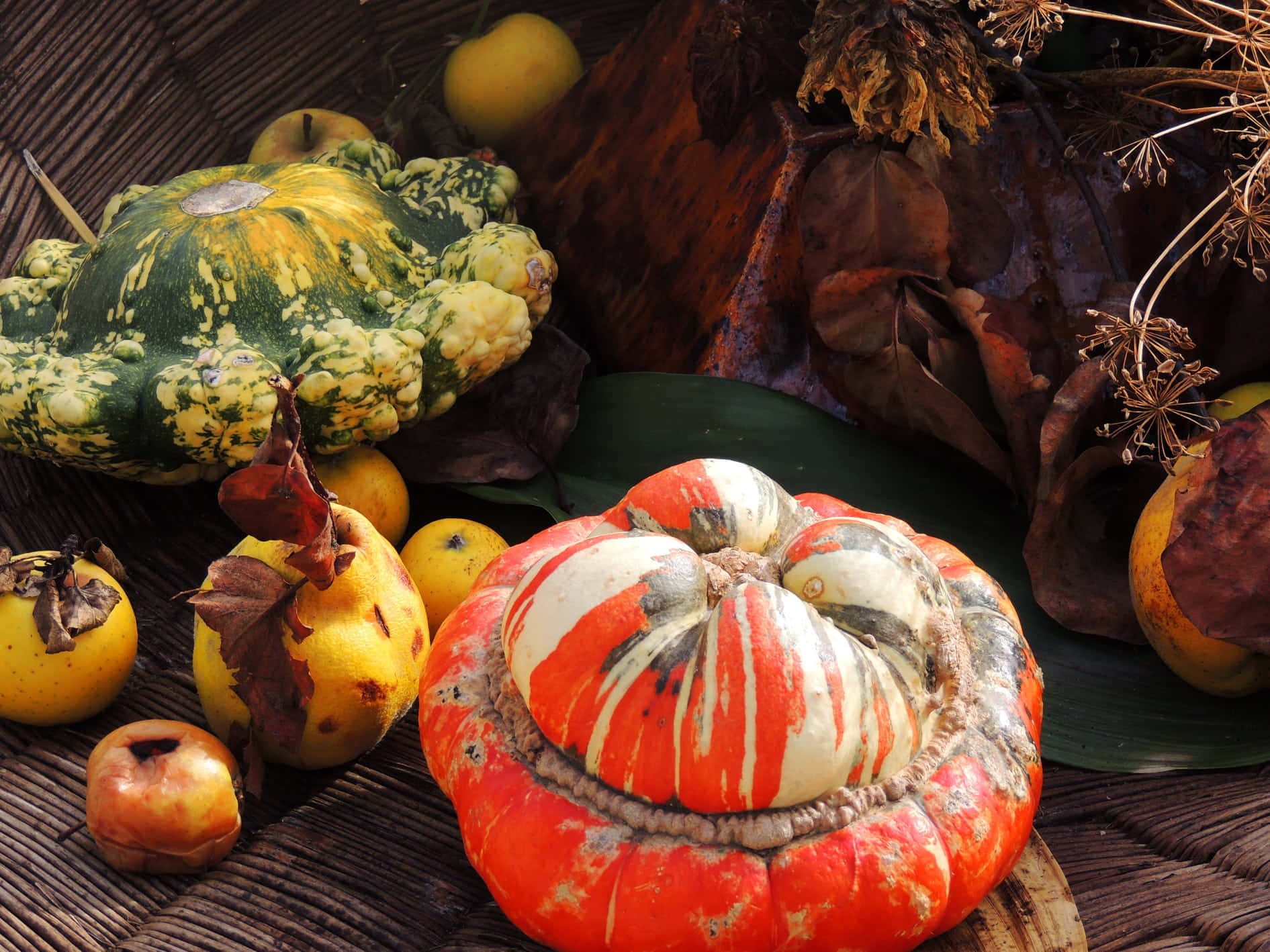 Abundant Autumn Harvest Wallpaper