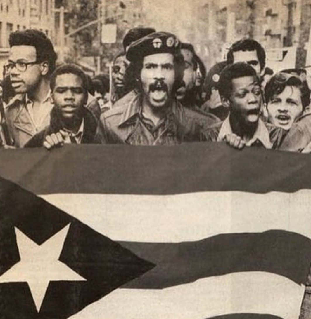 Activists Of The Black Panther Party During A Rally Wallpaper