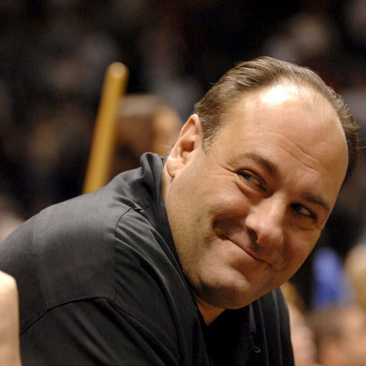 Actor James Gandolfini In His Role As Tony Soprano Wallpaper