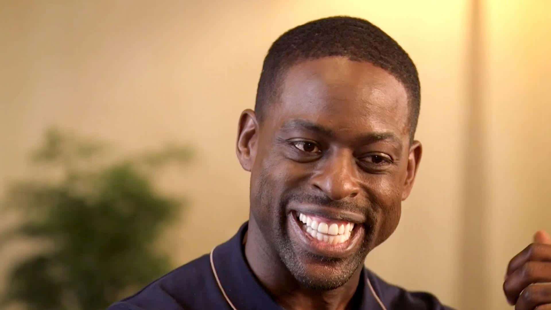 Actor Sterling K Brown Wallpaper