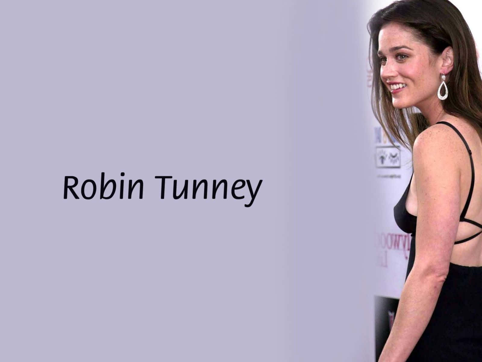 Actress Robin Tunney In A Captivating Pose Wallpaper