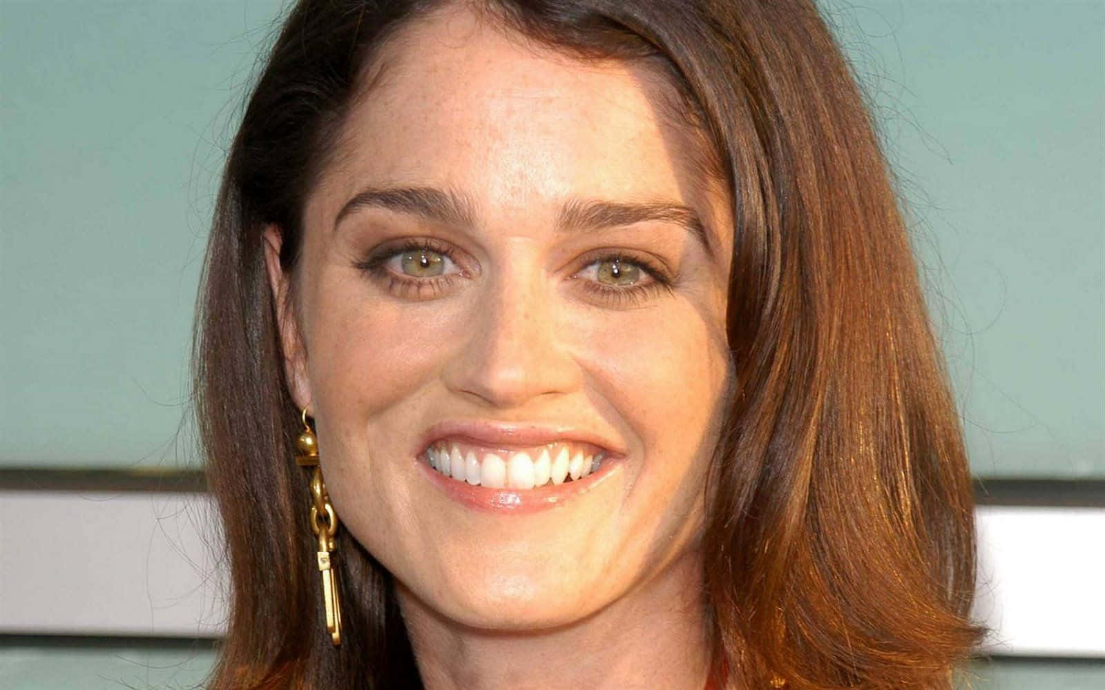 Actress Robin Tunney Smiling During A Photoshoot Wallpaper