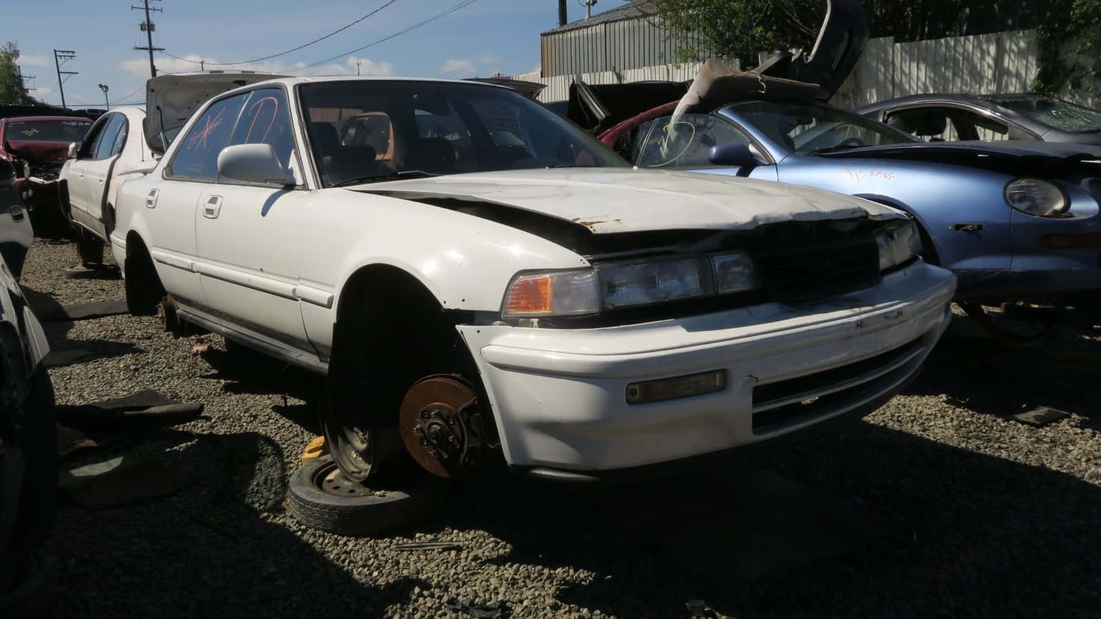 Acura Vigor Junkyard Find Wallpaper