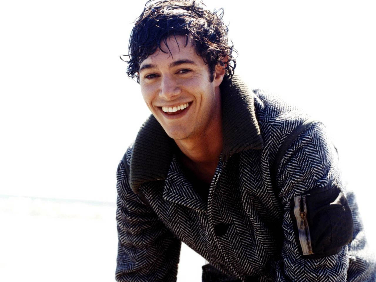 Adam Brody Dimple Wallpaper