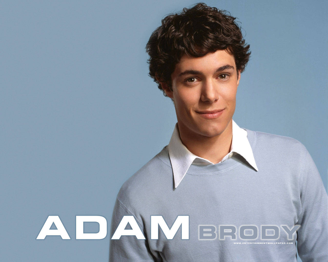 Adam Brody In Blue Wallpaper