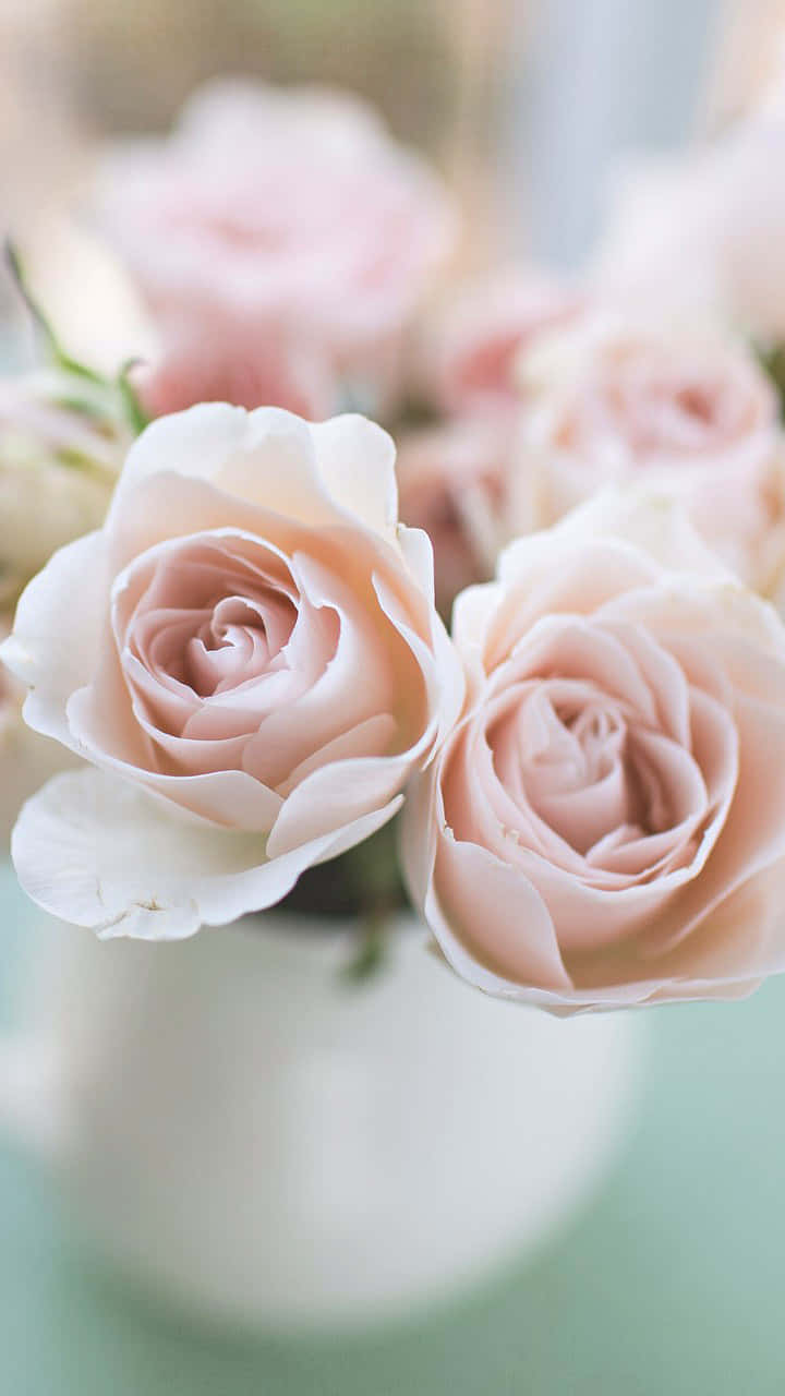 Add A Romantic Touch To Your Phone With Our Light Pink Floral Iphone Wallpaper. Wallpaper