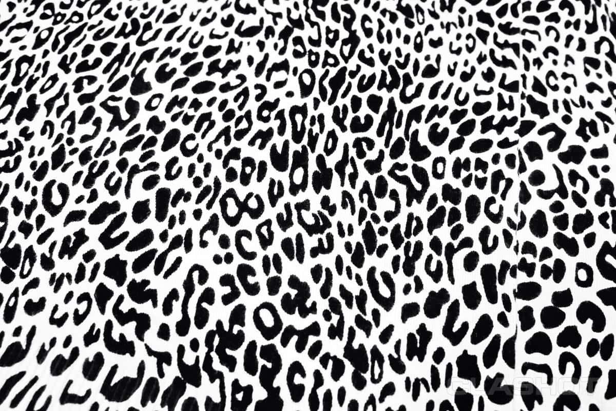 Add A Touch Of Wildness To Your Decor With This Stylish White Leopard Print Wallpaper