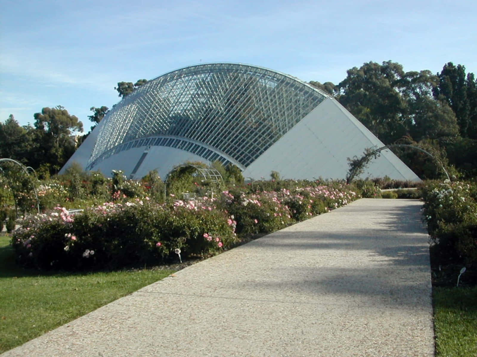 Adelaide Botanic Garden Bicentennial Conservatory Wallpaper