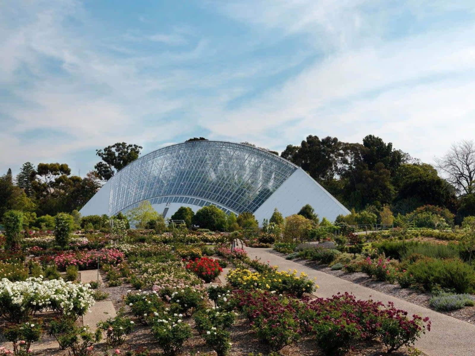 Adelaide Botanic Garden Bicentennial Conservatory Wallpaper