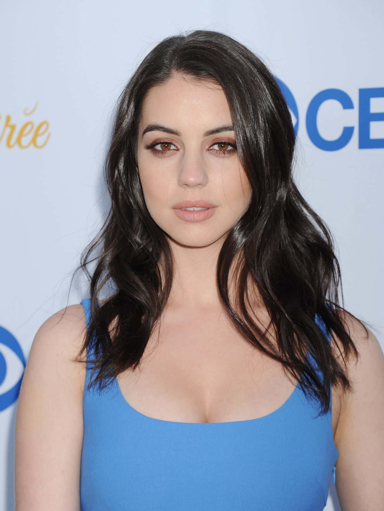 Adelaide Kane Blue Dress Event Wallpaper