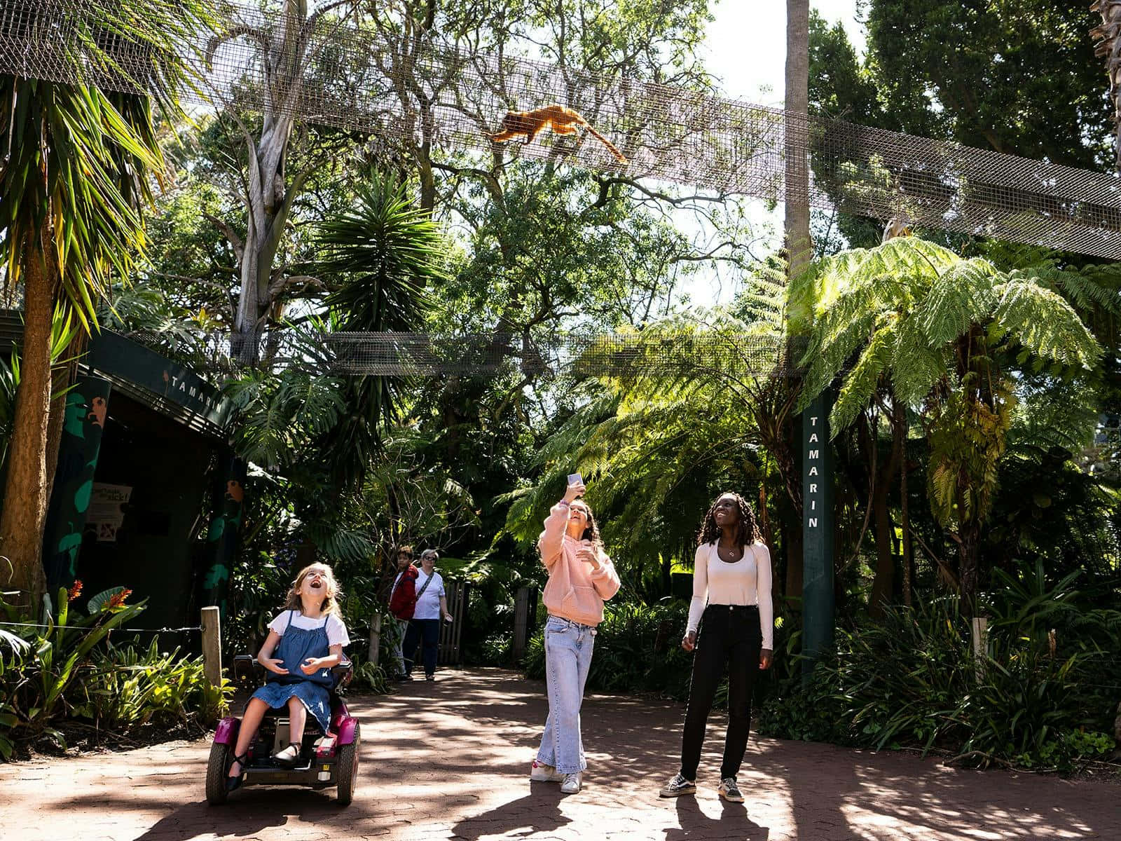 Adelaide Zoo Visitors Enjoying Exhibits Wallpaper