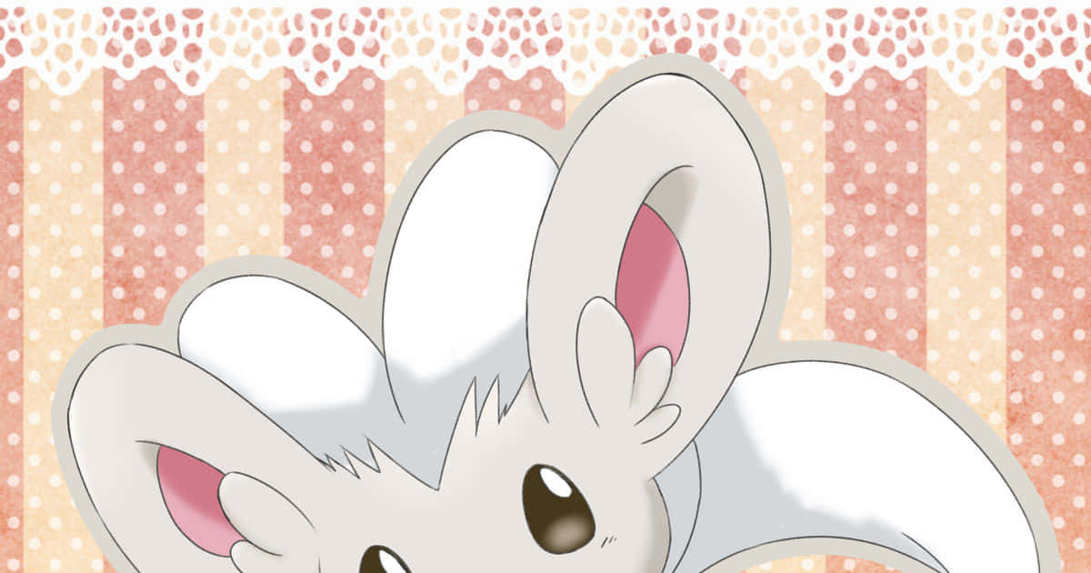 Adorable Cinccino Illustration With Lace Border Wallpaper