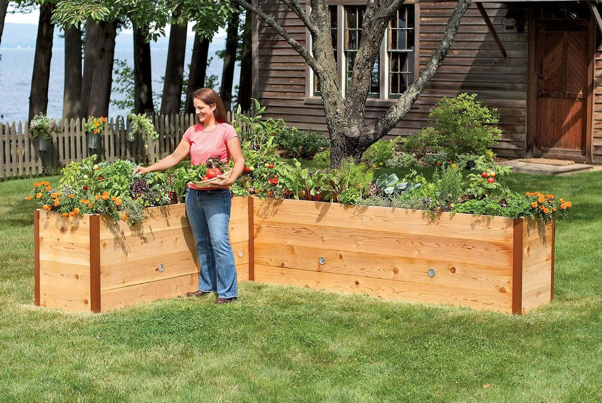 Adorable Garden Bed Nestling In A Secluded Outer Corner Of The Yard Wallpaper