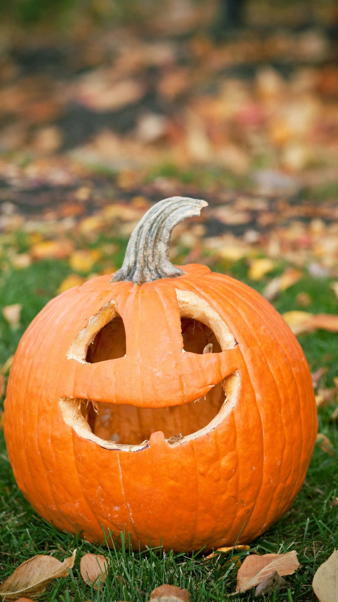 Adorable Orange Pumpkin With A Smiling Face Wallpaper