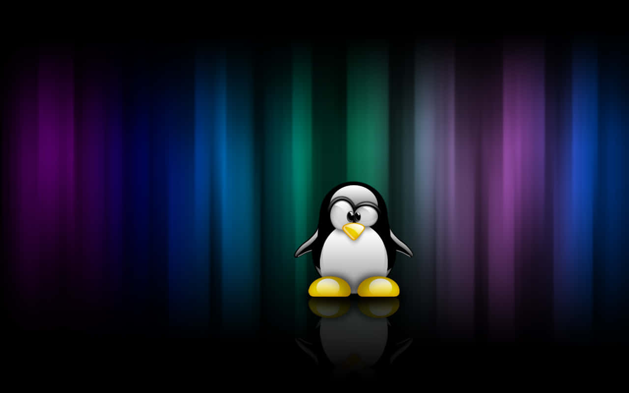 Adorable Penguin Tux Wallpaper Wallpaper