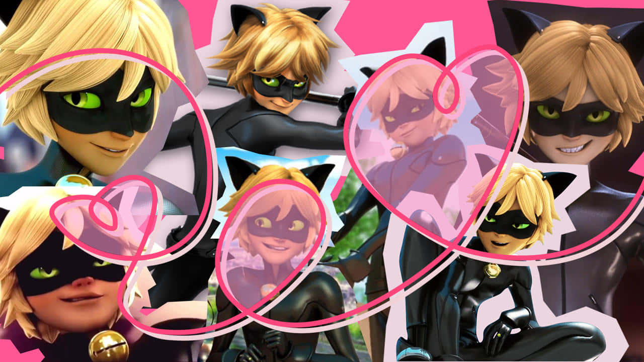 Adrien Agreste Aka Cute Cat Noir Wallpaper