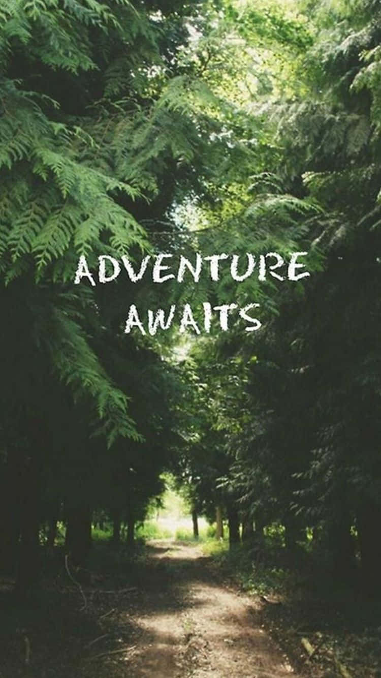 Adventure Awaits Quote Graphics Wallpaper