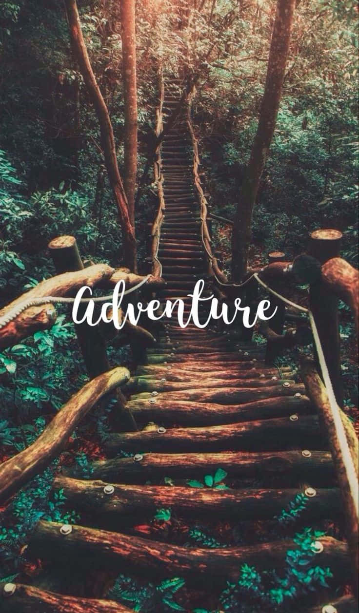 Adventure In The Woods Wallpaper