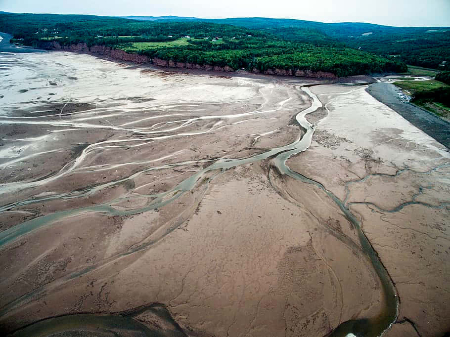 Aerial View River Delta Patterns Wallpaper