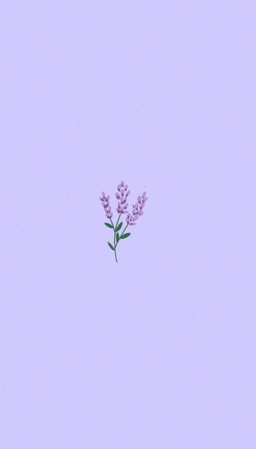 Aesthetic And Beautiful Purple Flower Wallpaper