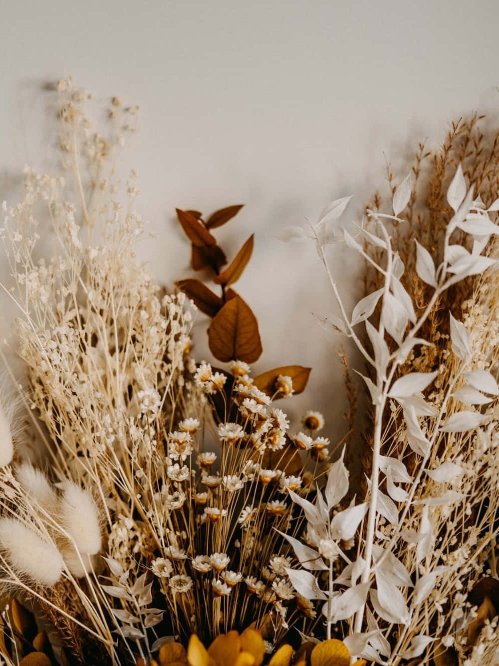 Aesthetic Arrangement Of Dried Flowers In A Vase Wallpaper