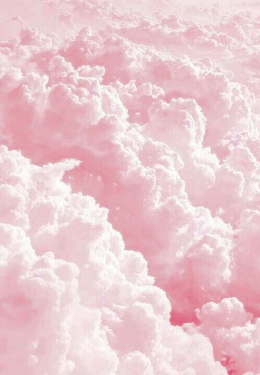 Aesthetic Beauty Of Pink And White Wallpaper