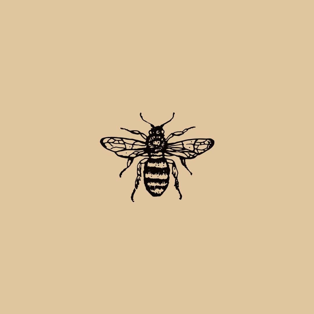 Aesthetic Bee On Yellow Flower Wallpaper