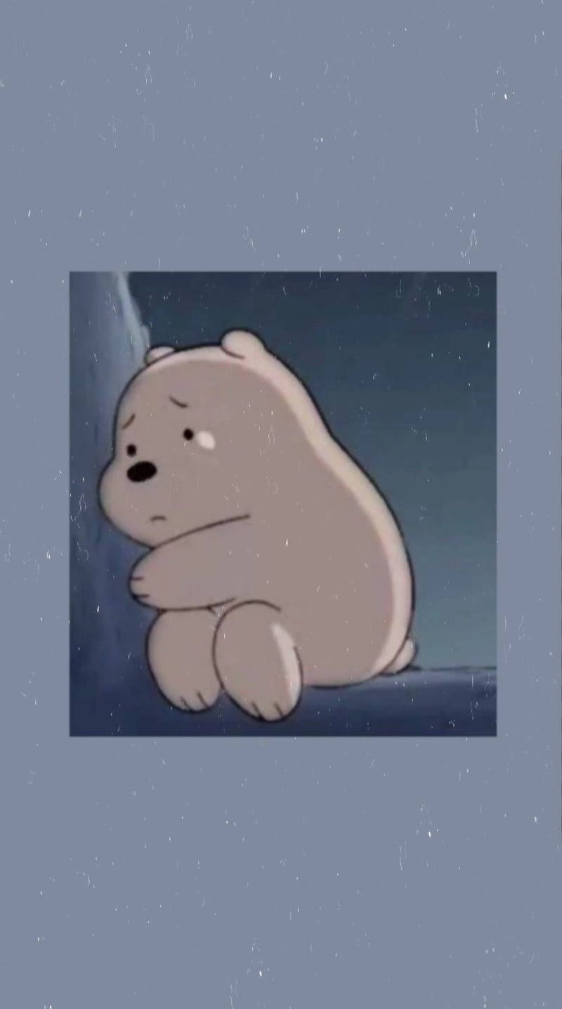 Aesthetic Cartoon Sad And Crying Ice Bear Wallpaper