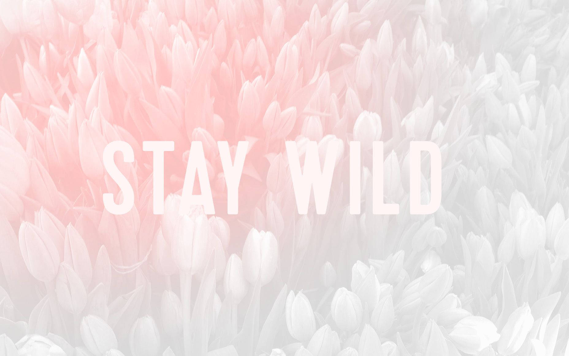 Aesthetic Cute Pastel Stay Wild Wallpaper