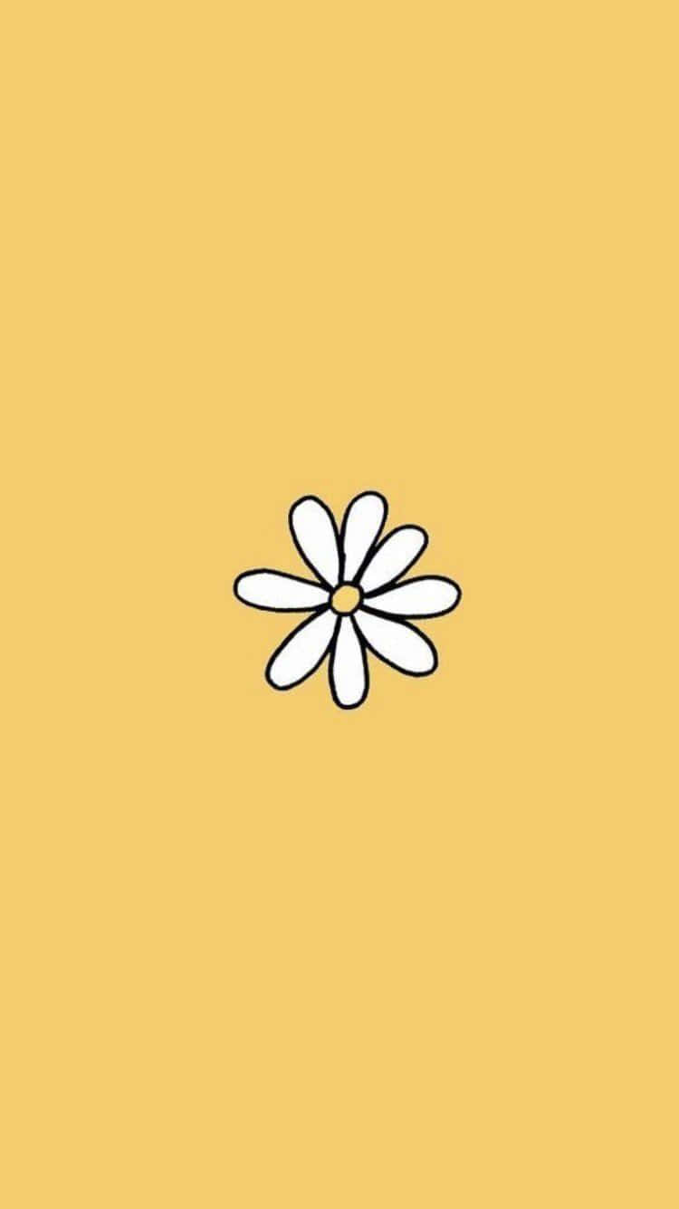 Aesthetic Daisy Minimalist Doodle Wallpaper