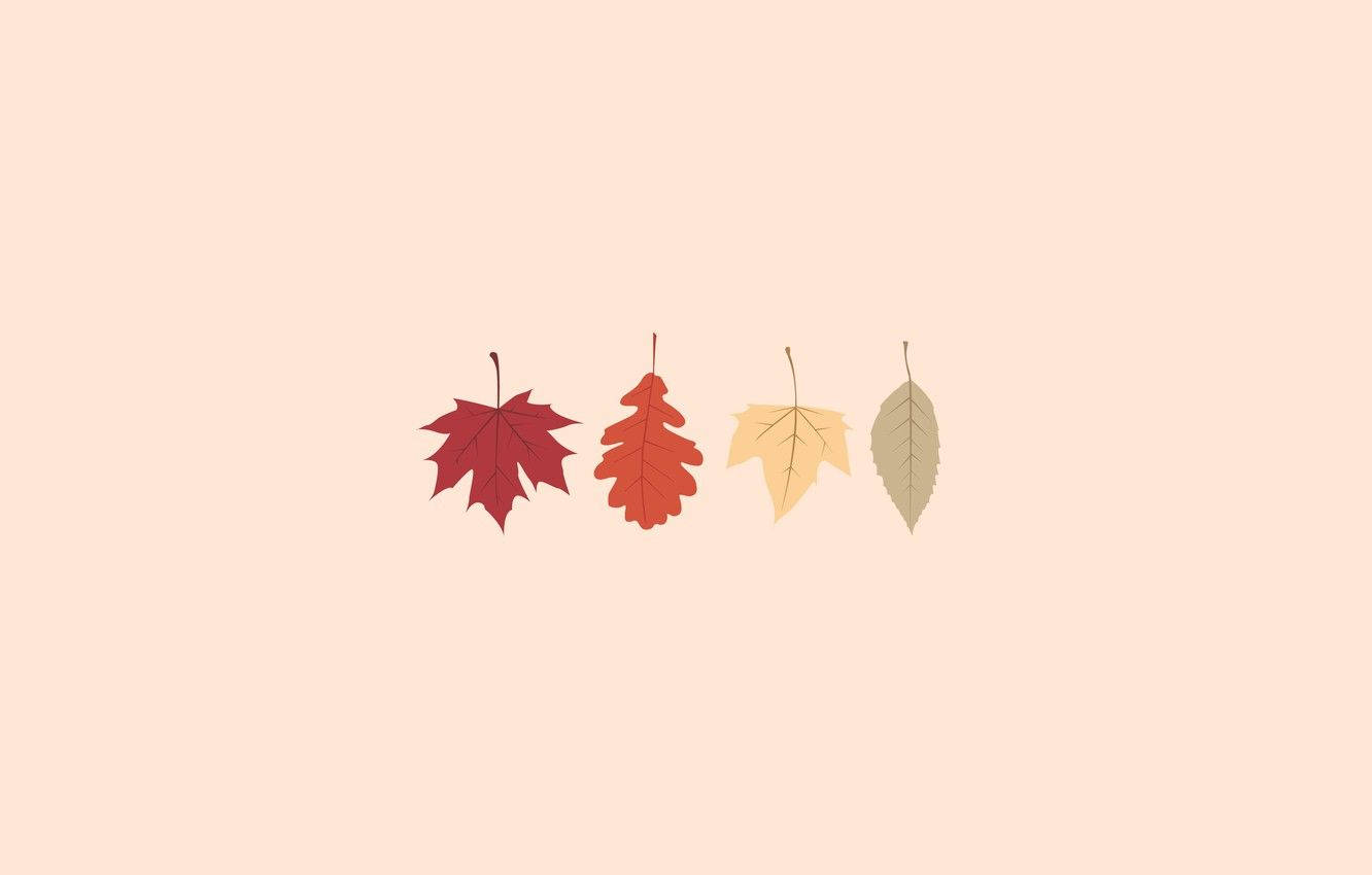 Aesthetic Minimalist Maple Wallpaper