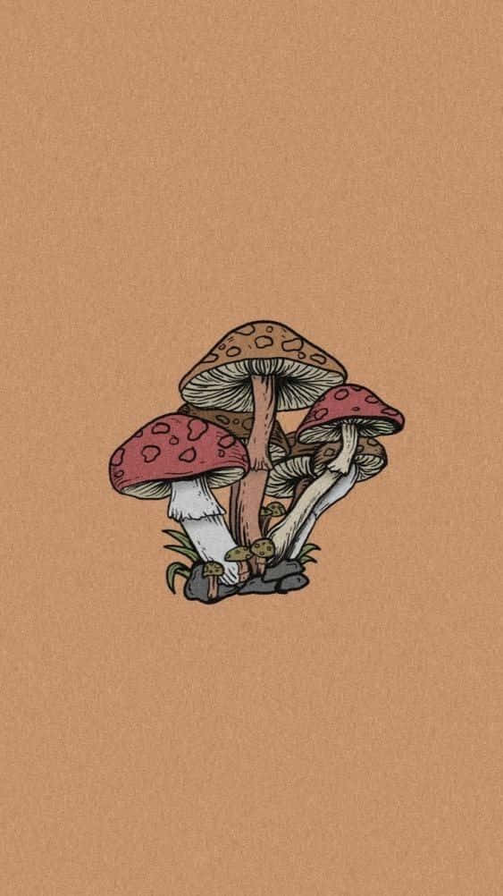 Aesthetic Mushroom Phone Wallpaper