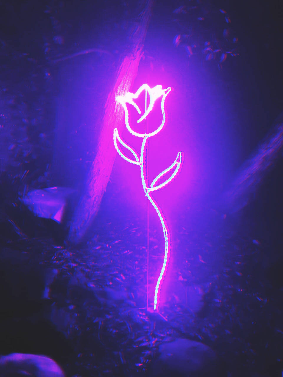 Aesthetic Neon Purple Rose Wallpaper