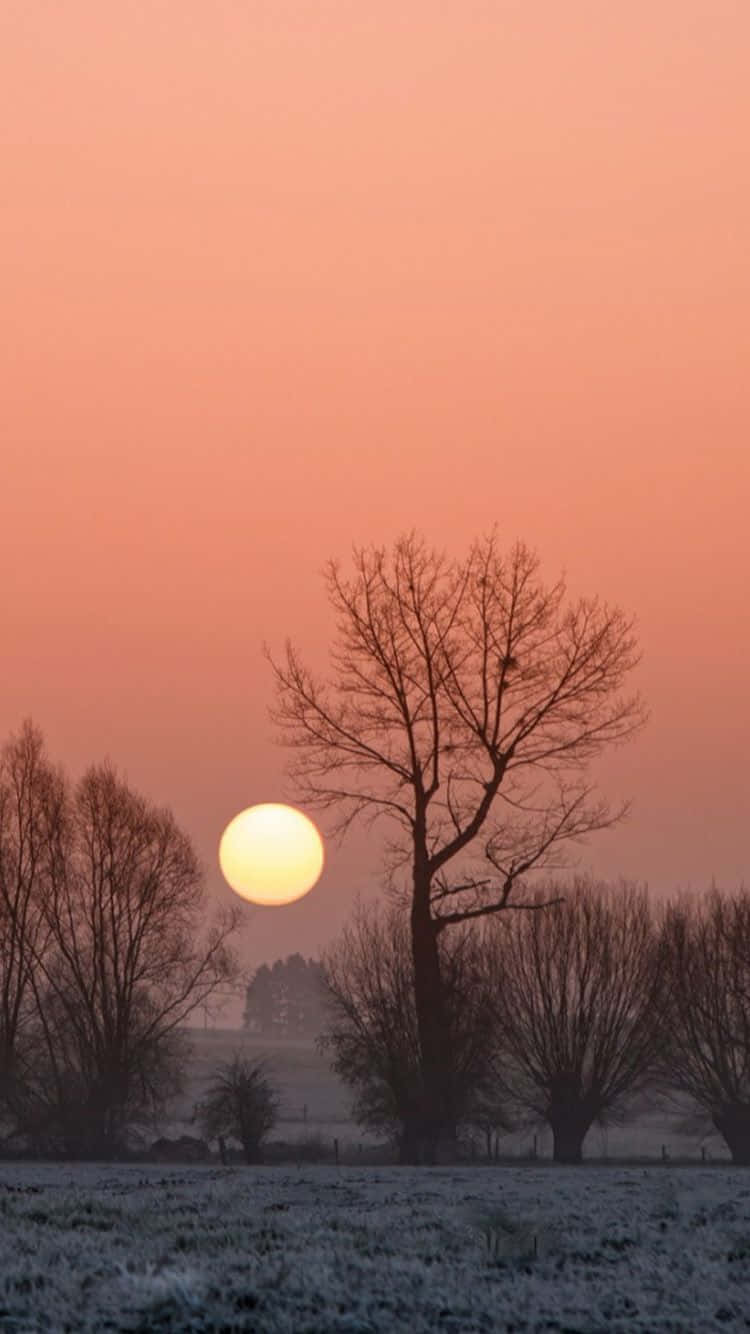 African Beautiful Scenery Sunrise Iphone Wallpaper