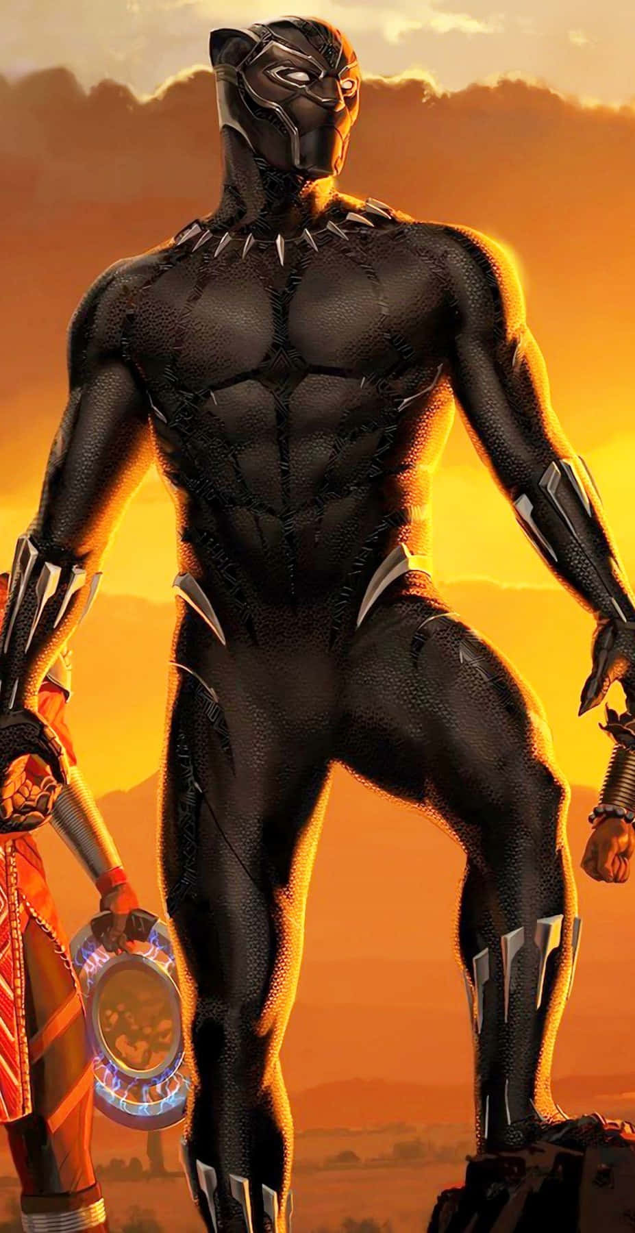 After The Throne, King T'challa Reigns Supreme In Wakanda Wallpaper