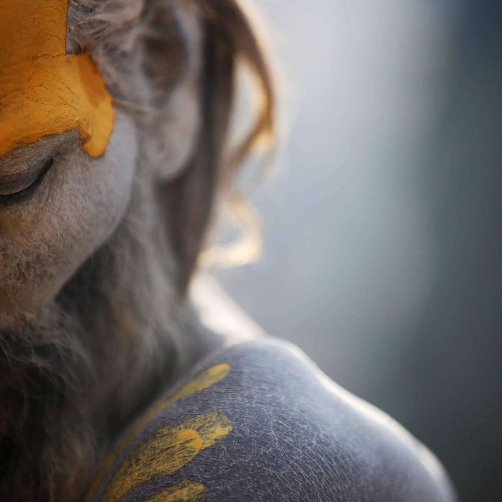 Aghori Skin Close-up Wallpaper