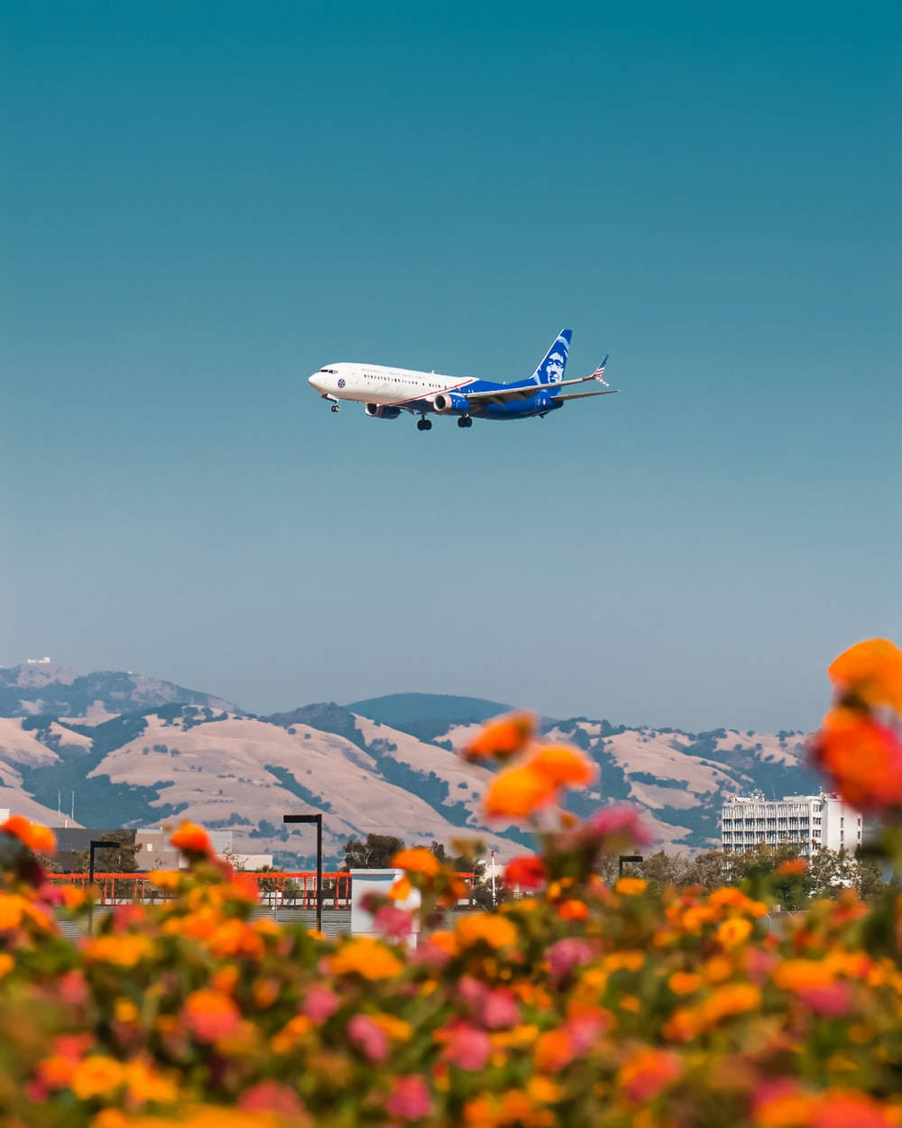 Alaska Airlines Plane Above Flower Field Wallpaper