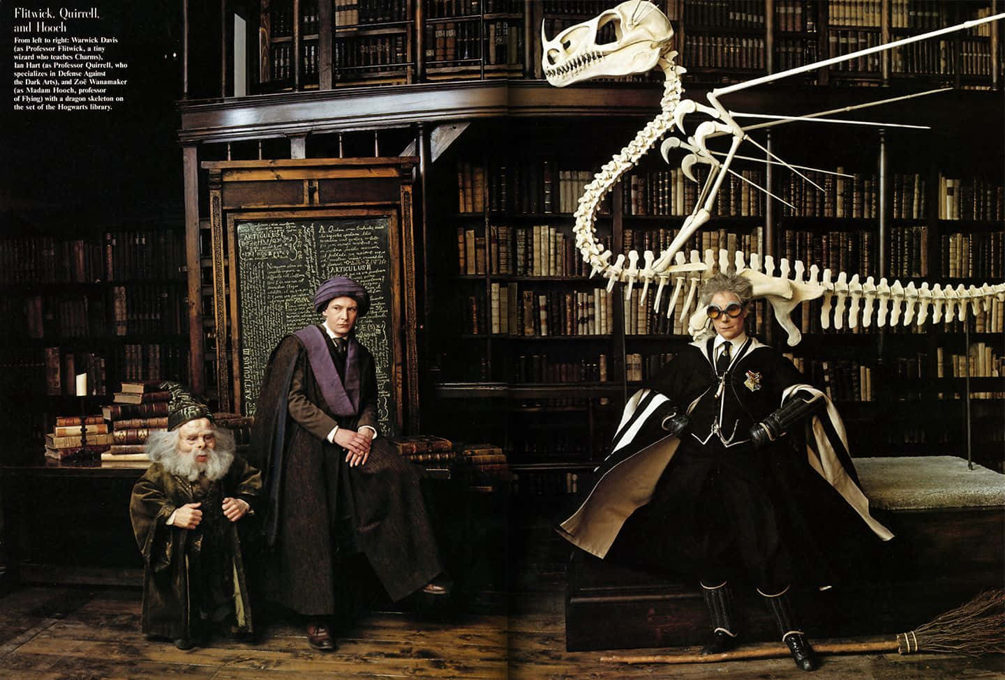 Albus Dumbledore Presides Over The Hogwarts Library