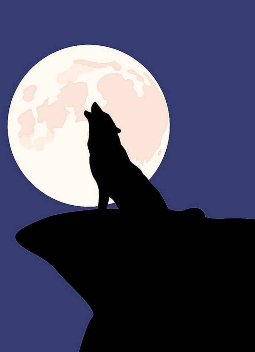 Alcatel Wolf Silhouette Wallpaper