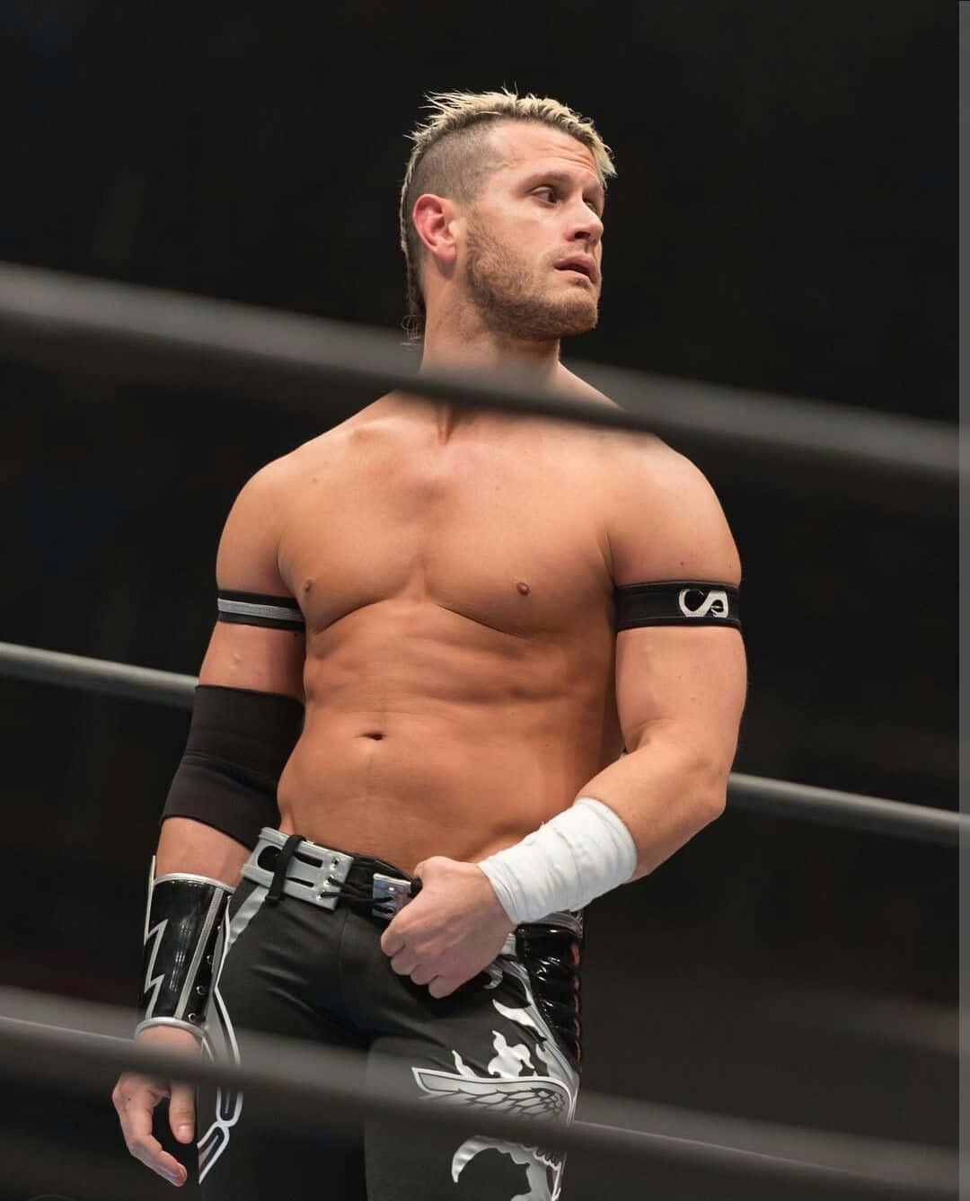 Alex Shelley Posing During Impact Wrestling Game Wallpaper