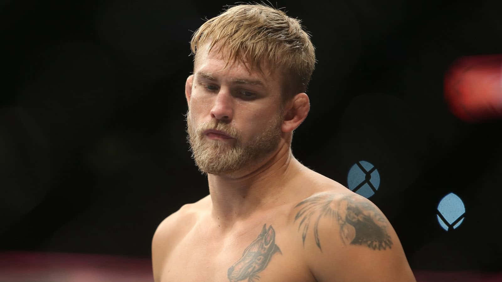 Alexander Gustafsson Ufc Fighter Wallpaper