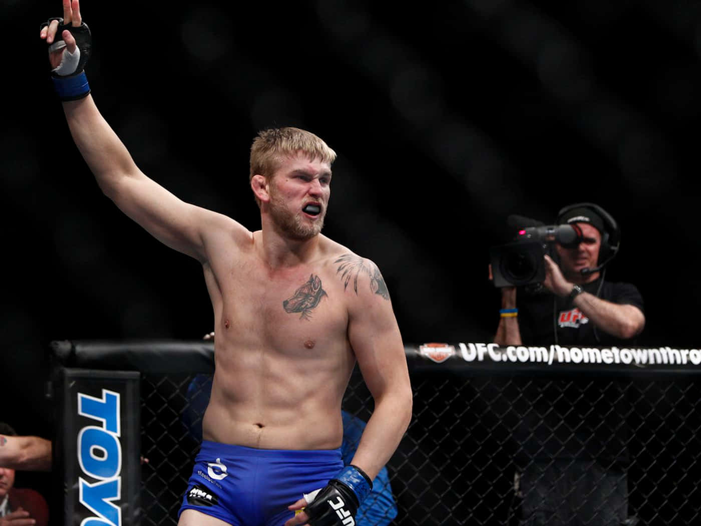 Alexander Gustafsson Ufc Poster Wallpaper