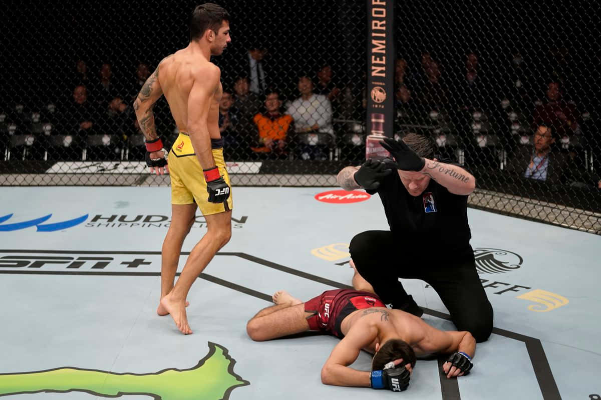 Alexandre Pantoja In Victorious Combat Against Matt Schnell Wallpaper