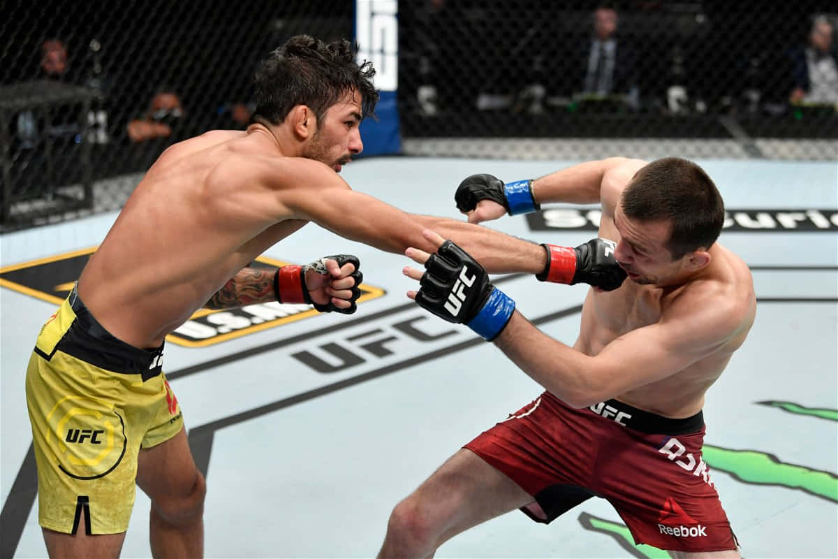 Alexandre Pantoja Punching Askar Askarov Wallpaper